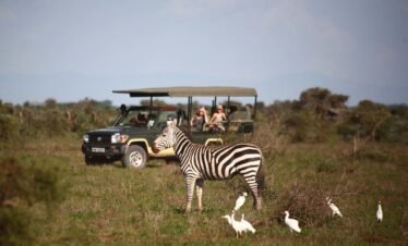 Amboseli & Tsavo East National Parks 3-Day Safari from Nairobi
